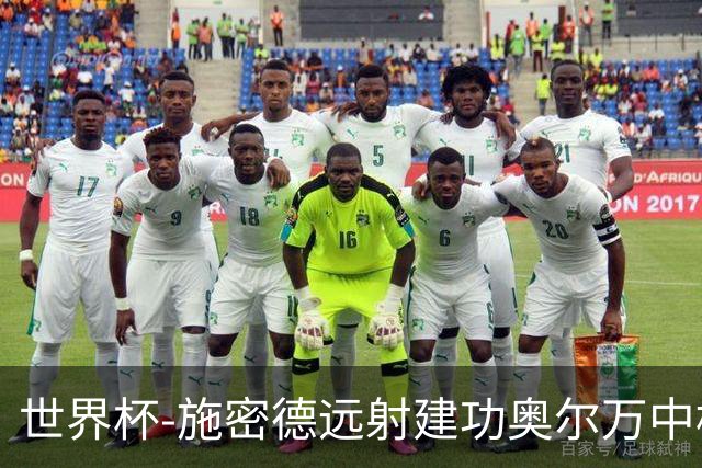世界杯-施密德远射建功奥尔万中框 半场奥地利1-0约旦